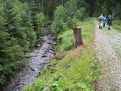 Entlang der Flanitz – Wanderfreude im Bayerischen Wald